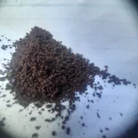 چای باروتی(کله‌مورچه‌ای)چای خارجی نایلون زباله