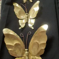 پروانه دیواری