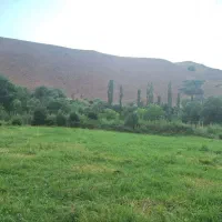 زمین-کشاورزی-در-جوستان