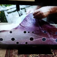 LCD ال سی دی ۴۲ اینچ سونی
