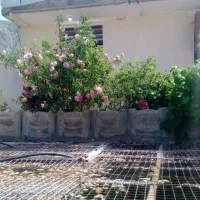 فروش-ویلا-باغ-دلفارد