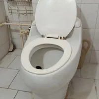 سرویس فرنگی
