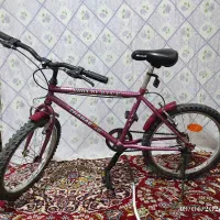 دوچرخه آساک دماوند سایز 20