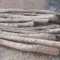 تیر چوبی