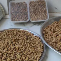 توت خشک