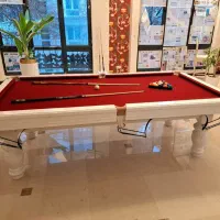 بیلیارد ۲۳۰ noshahr