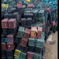 سبد میوه وکارتن موز