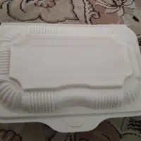 ظرف گیاهی یکبار مصرف
