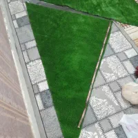 چمن سه گوش