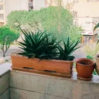 ۶۵ متری ۲ خوابه در شاهد|اجارهٔ آپارتمان|تهران, شاهد|دیوار