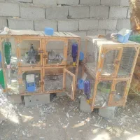 جفت کن