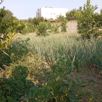 زمین-300-متری