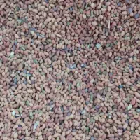 تخم یونجه بمی یاهمون اسپست