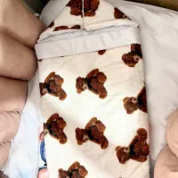 قنداق فرنگی سیسمونی نو