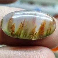 شجر سه بعدی خاص