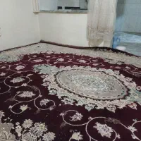 فرش|فرش|همدان, |دیوار