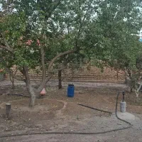 زمین-مسکونی-250متر