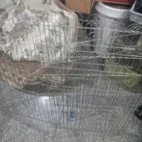 پارک سگ همراه با سینی ادرار