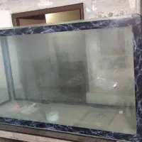 آکواریوم