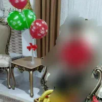 پرده پانچ با شال ۴مترو ۱۰سانت