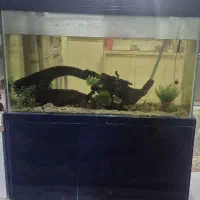 فروش آکواریوم بزرگ