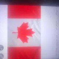 استخدام و همکاری