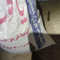 لوبیاقرمزبذرزنجان