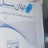 گواهینامه وکارت پایان خدمت