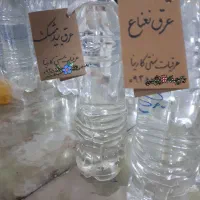 عرقیات سنتی کارینا