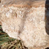 سنگ قیمتی