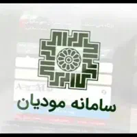 فاکتور رسمی