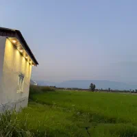 نگهبانی گلخانه