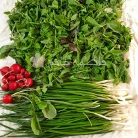 فروش سبزی (خوردن خورشتی آشی )