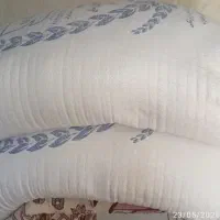 آرد