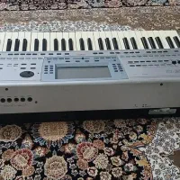 pa50|پیانو، کیبورد، آکاردئون|گرمی, |دیوار