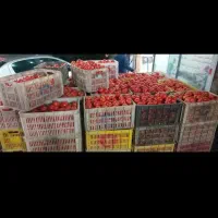 جعبه گوجه  ۲۰۰ عدد