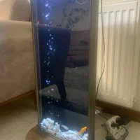 اکواریوم|ماهی|شاهرود, |دیوار