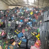 خرید سبد میوه بهترین قیمت