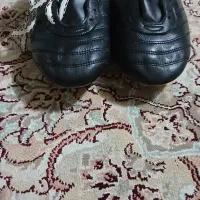 کفش ورزشی