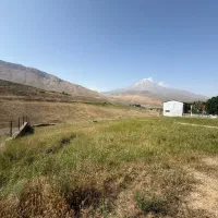 زمین-سند-تک-برگ-6-دانگ-مسکونی-پلور-انشعابات-کامل