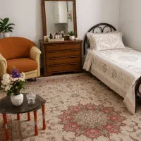 خانه-ویلایی-نقلی