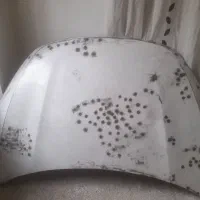 گلگیر وکاپوت جک اس ۵