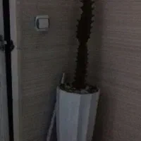 کاکتوس عالی سالم خوب بدرد خانه میخورد
