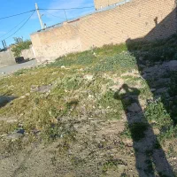 زمین مسکونی