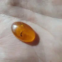 سنگ کهربا