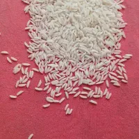 برنج هاشمی سورتینگ زده