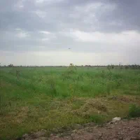 زمین-برای-ساخت-ویلا-باغ-در-شوشتر