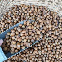 فندوق تازه ی اشکورات