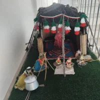 فروش شیراز همه روزه
