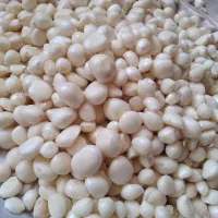 سیر پوست کنده شده